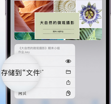 鹿城apple维修中心分享iPhone文件应用中存储和找到下载文件