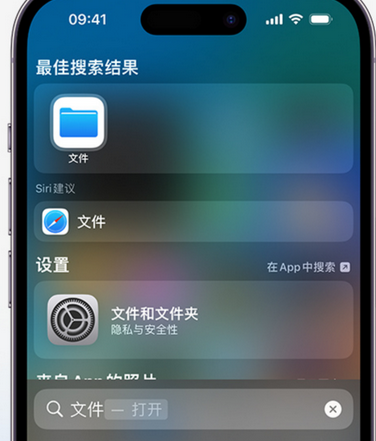 鹿城apple维修中心分享iPhone文件应用中存储和找到下载文件