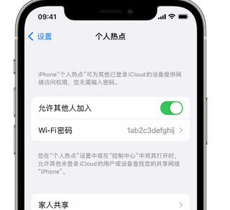 鹿城apple服务站点分享iPhone上个人热点丢失了怎么办 