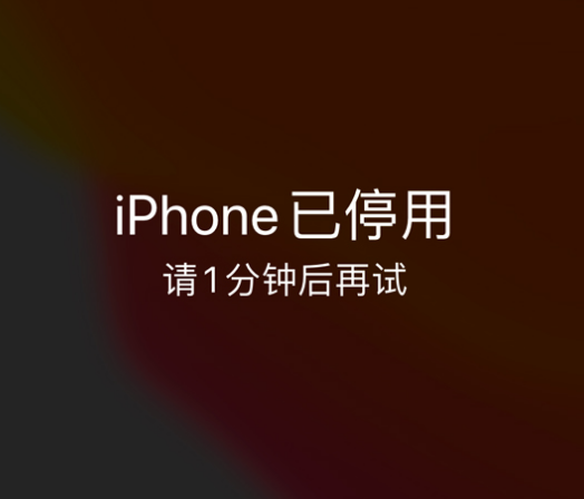 鹿城苹果手机维修分享:iPhone 显示“不可用”或“已停用”怎么办？还能保留数据吗？ 