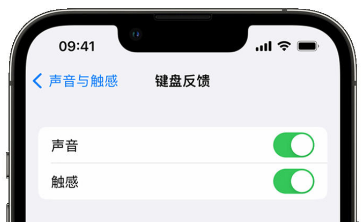 鹿城苹果手机维修分享iPhone 14触感键盘使用方法 