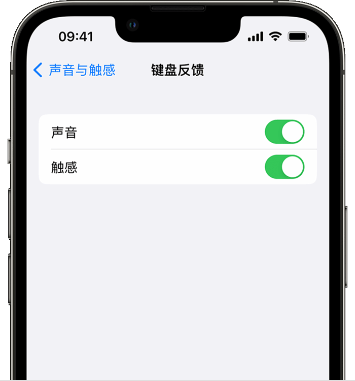 鹿城苹果14维修店分享如何在 iPhone 14 机型中使用触感键盘 