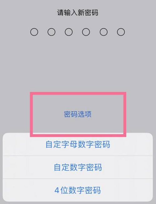 鹿城苹果14维修分享iPhone 14plus设置密码的方法 