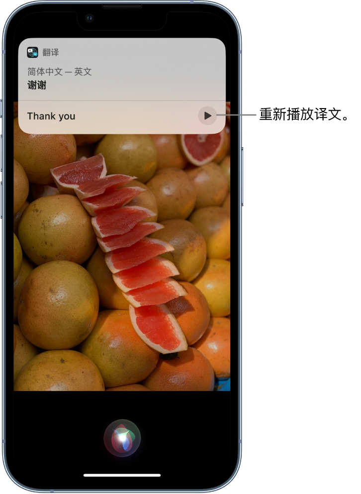 鹿城苹果14维修分享 iPhone 14 机型中使用 Siri：了解 Siri 能帮你做什么 