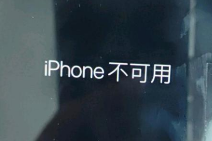 鹿城苹果服务网点分享锁屏界面显示“iPhone 不可用”如何解决 