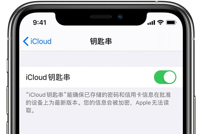 鹿城苹果手机维修分享在 iPhone 上开启 iCloud 钥匙串之后会储存哪些信息 